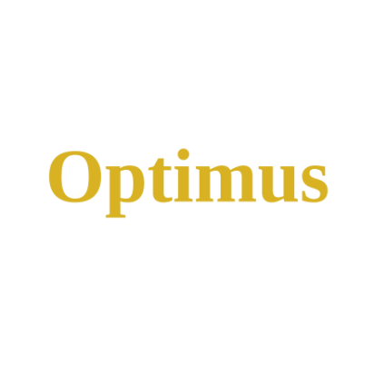 Optimus Strategic Audit